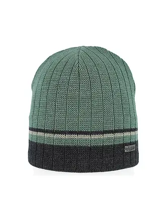 EISGLUT | Herren Mütze Gatesa | grün
